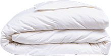 Down Duvet