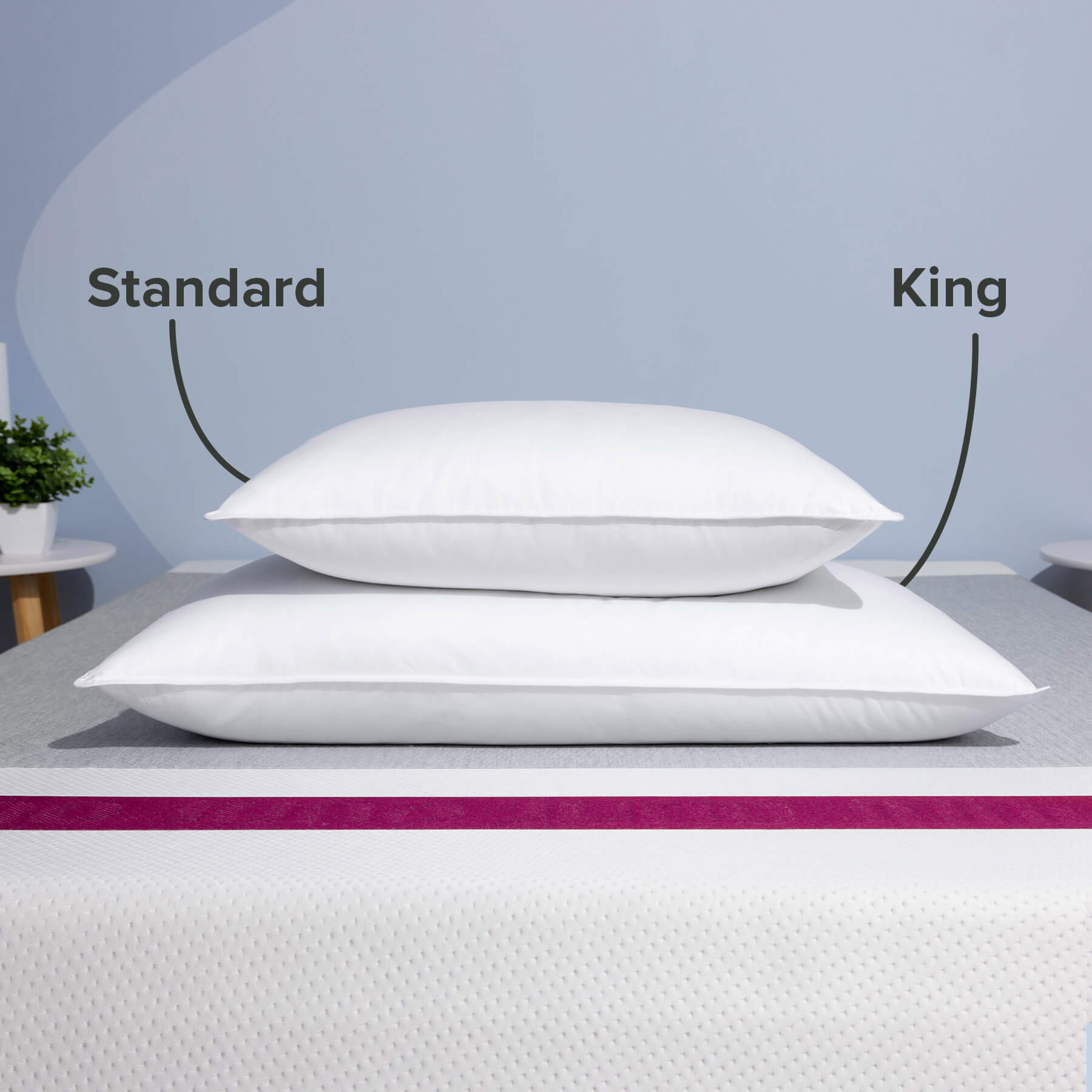 JB-DownAlternative-Pillow-Carousel-3-EN