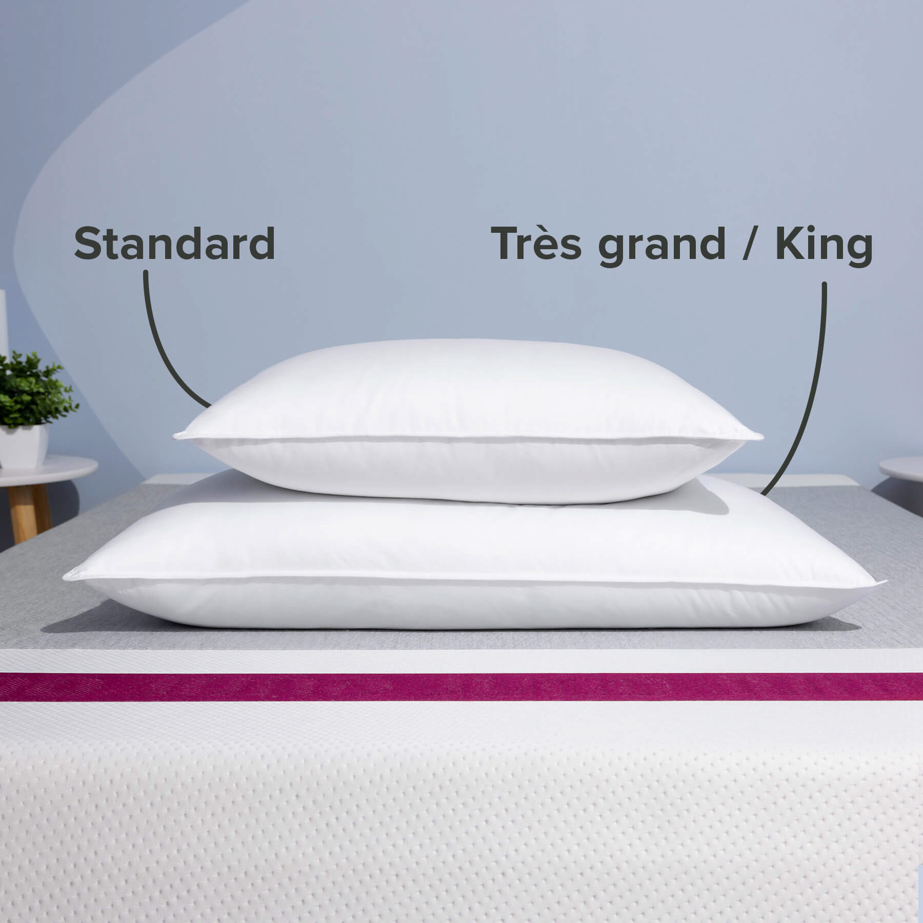 JB-DownAlternative-Pillow-Carousel-3-FR