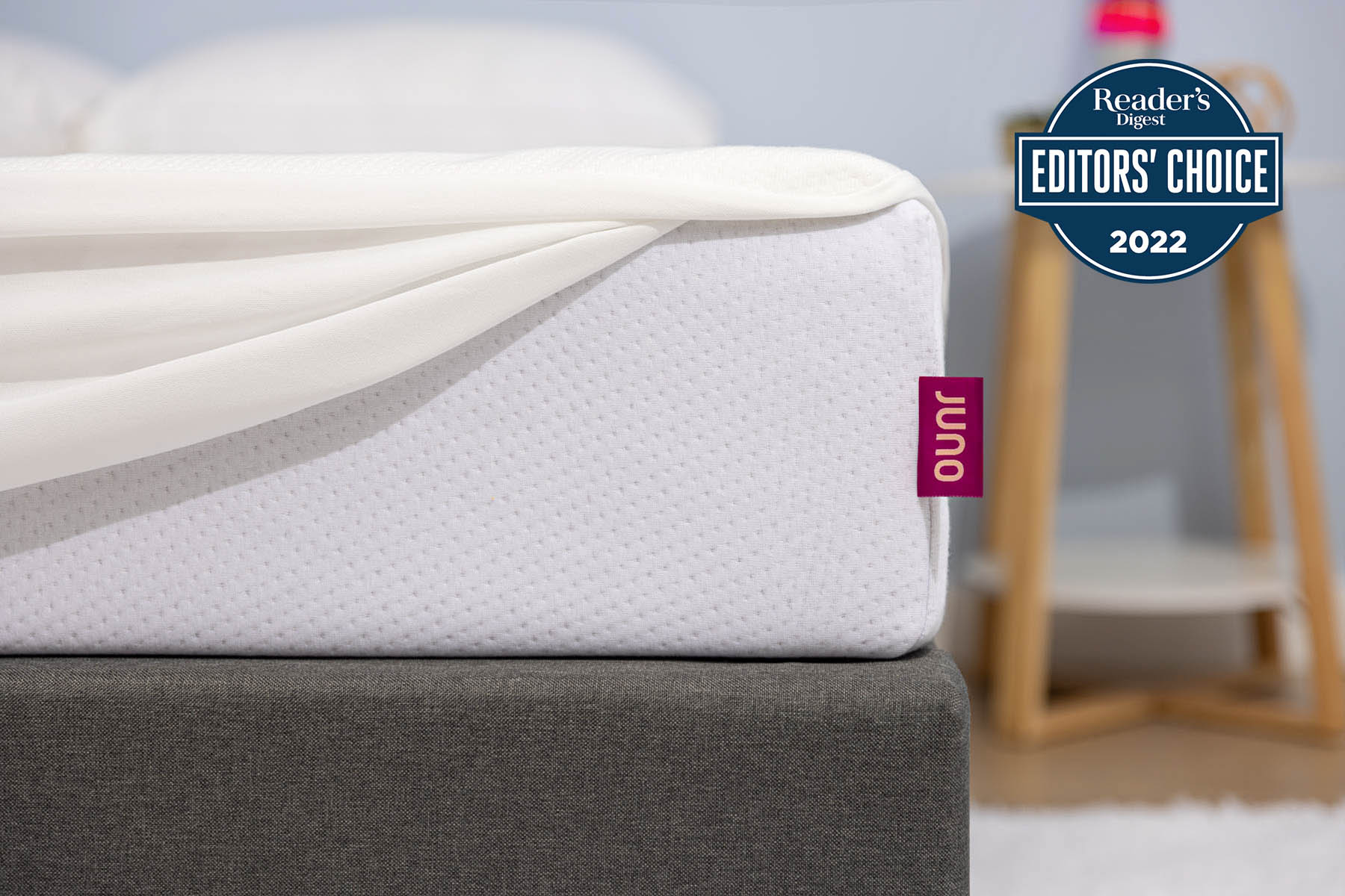Free Mattress Protector