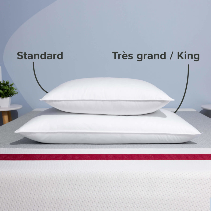 La taille standard et la taille très grand/king : Oreillers en duvet synthétique