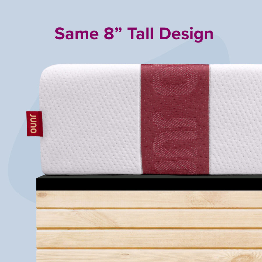 Same 8" Tall Design